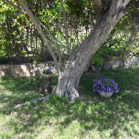 別荘 Casa Del Riccio