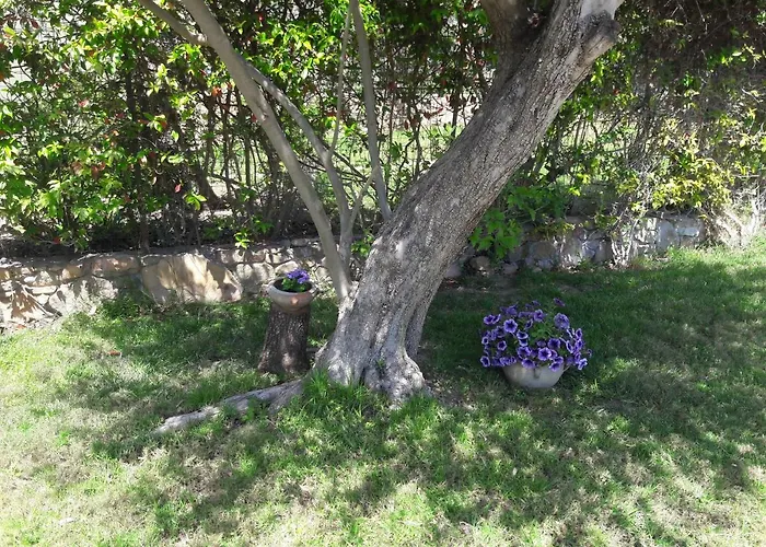 Casa de Férias Casa Del Riccio